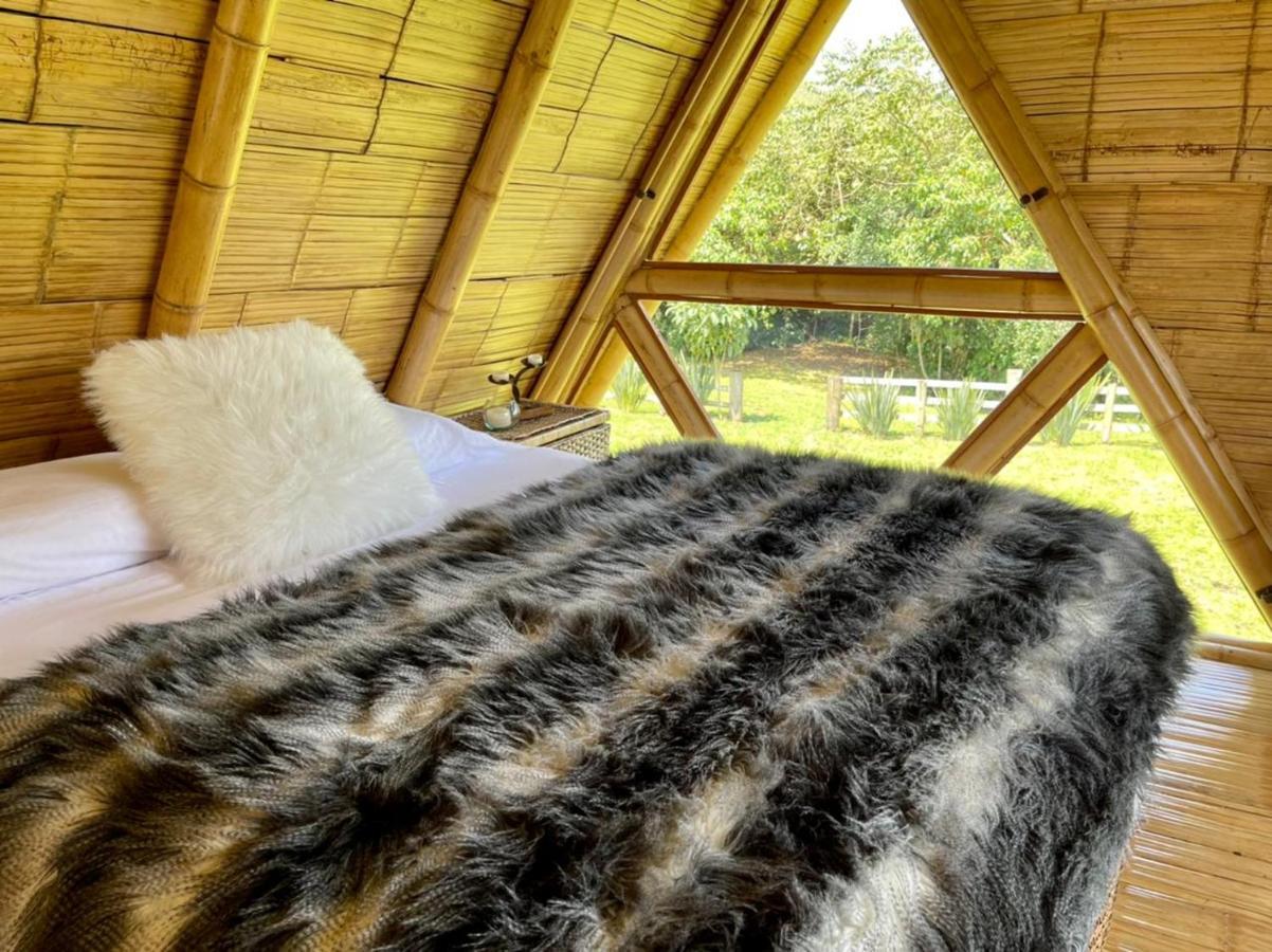 Glamping La Herradura Santa Rosa de Cabal Exterior foto