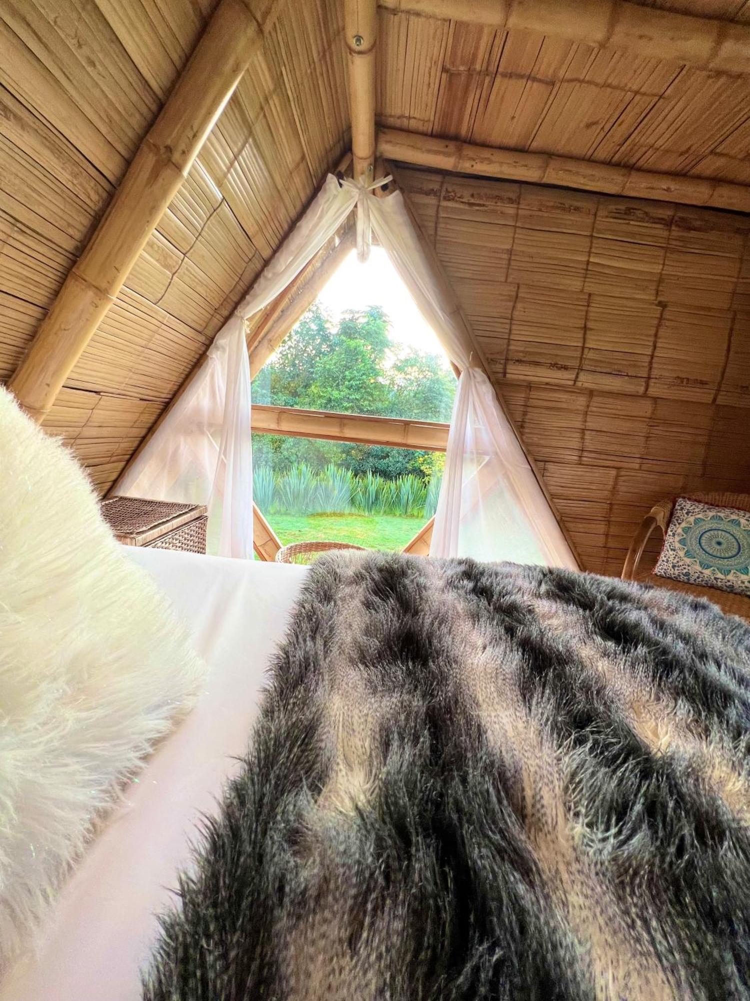 Glamping La Herradura Santa Rosa de Cabal Exterior foto